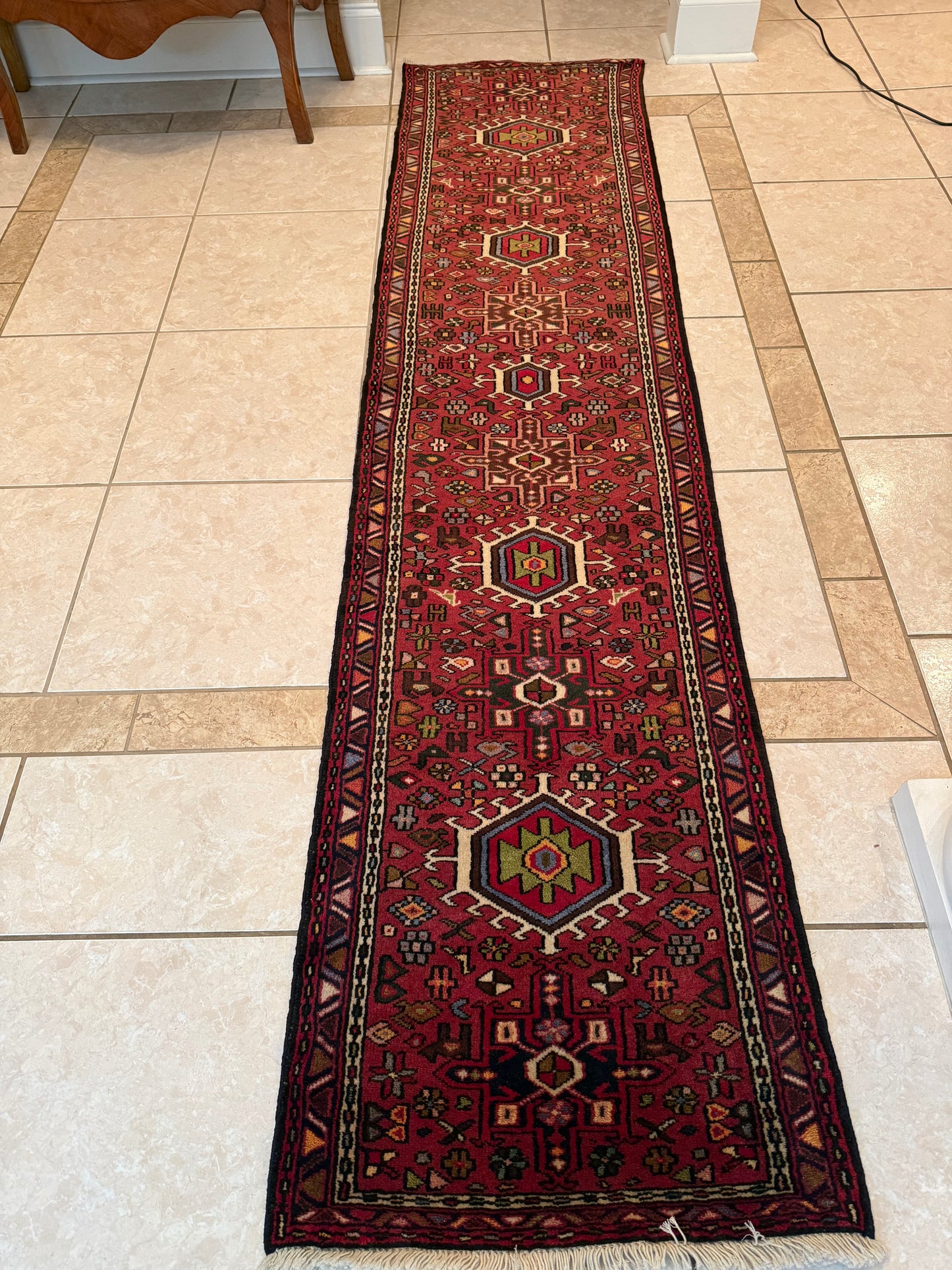 Persian Grajeh Runner Rug No. 478 – Hand-Knotted Wool & Cotton Traditional Oriental Runner 9.5 x 2.3 ft