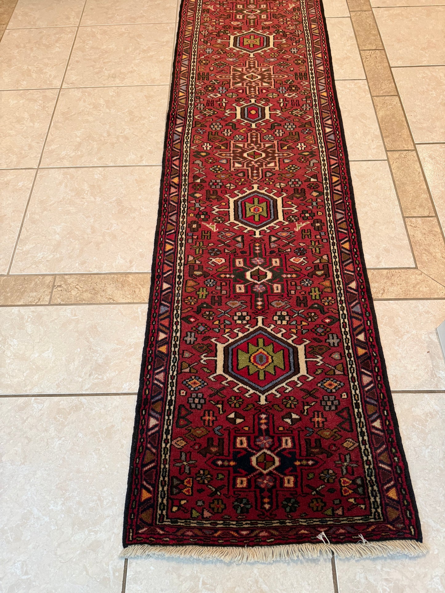 Persian Grajeh Runner Rug No. 478 – Hand-Knotted Wool & Cotton Traditional Oriental Runner 9.5 x 2.3 ft
