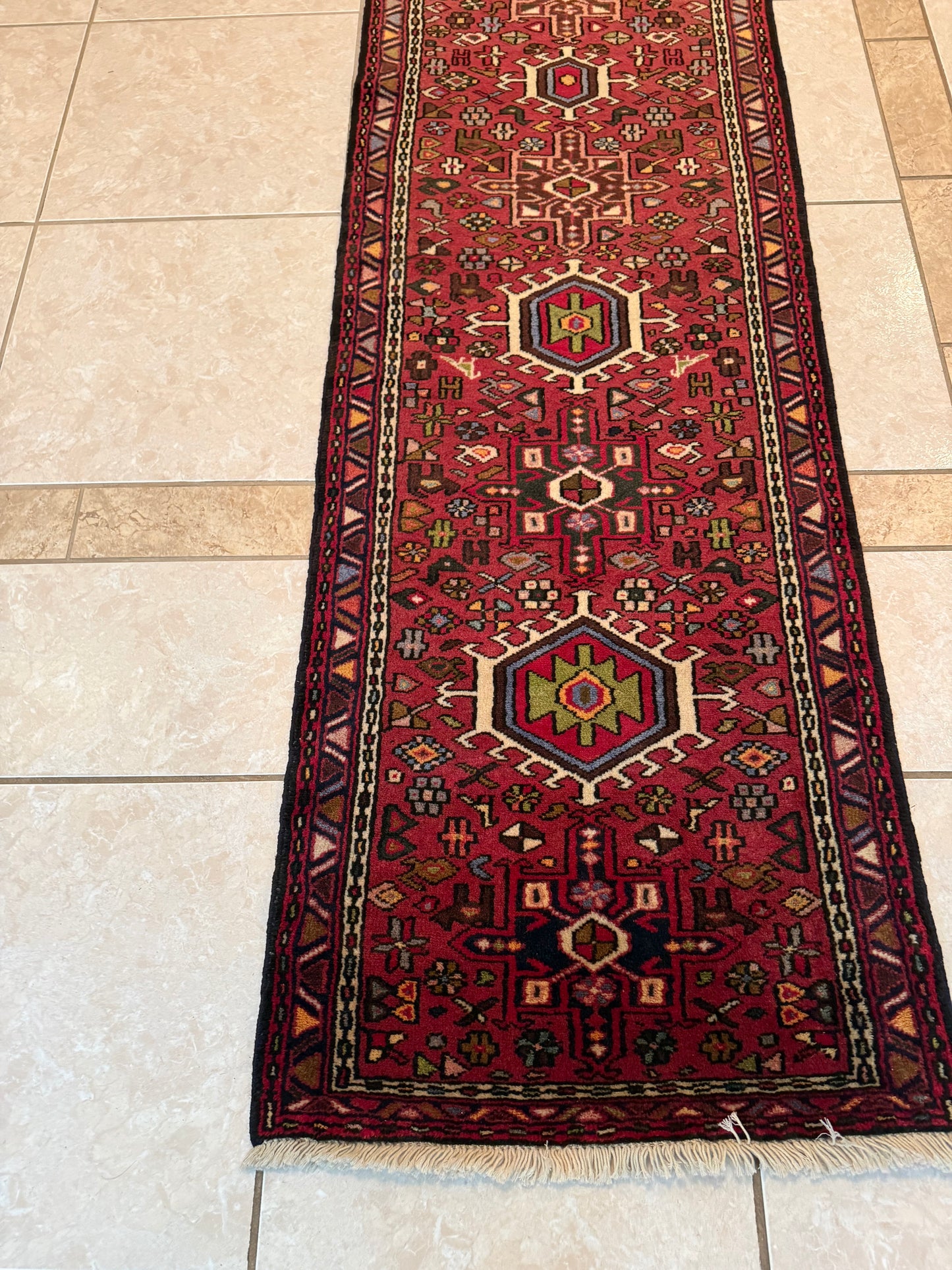 Persian Grajeh Runner Rug No. 478 – Hand-Knotted Wool & Cotton Traditional Oriental Runner 9.5 x 2.3 ft