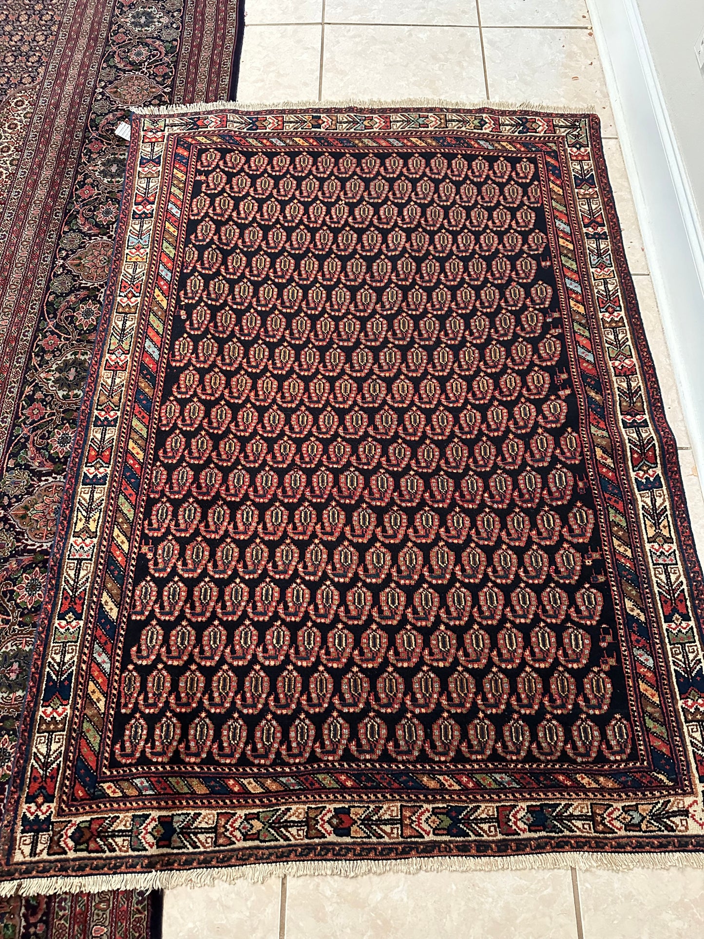 Persian Bakhtiari Kashmar Rug – Hand-Knotted 100% Wool Traditional Oriental Area Rug 5.9 x 4.0 ft