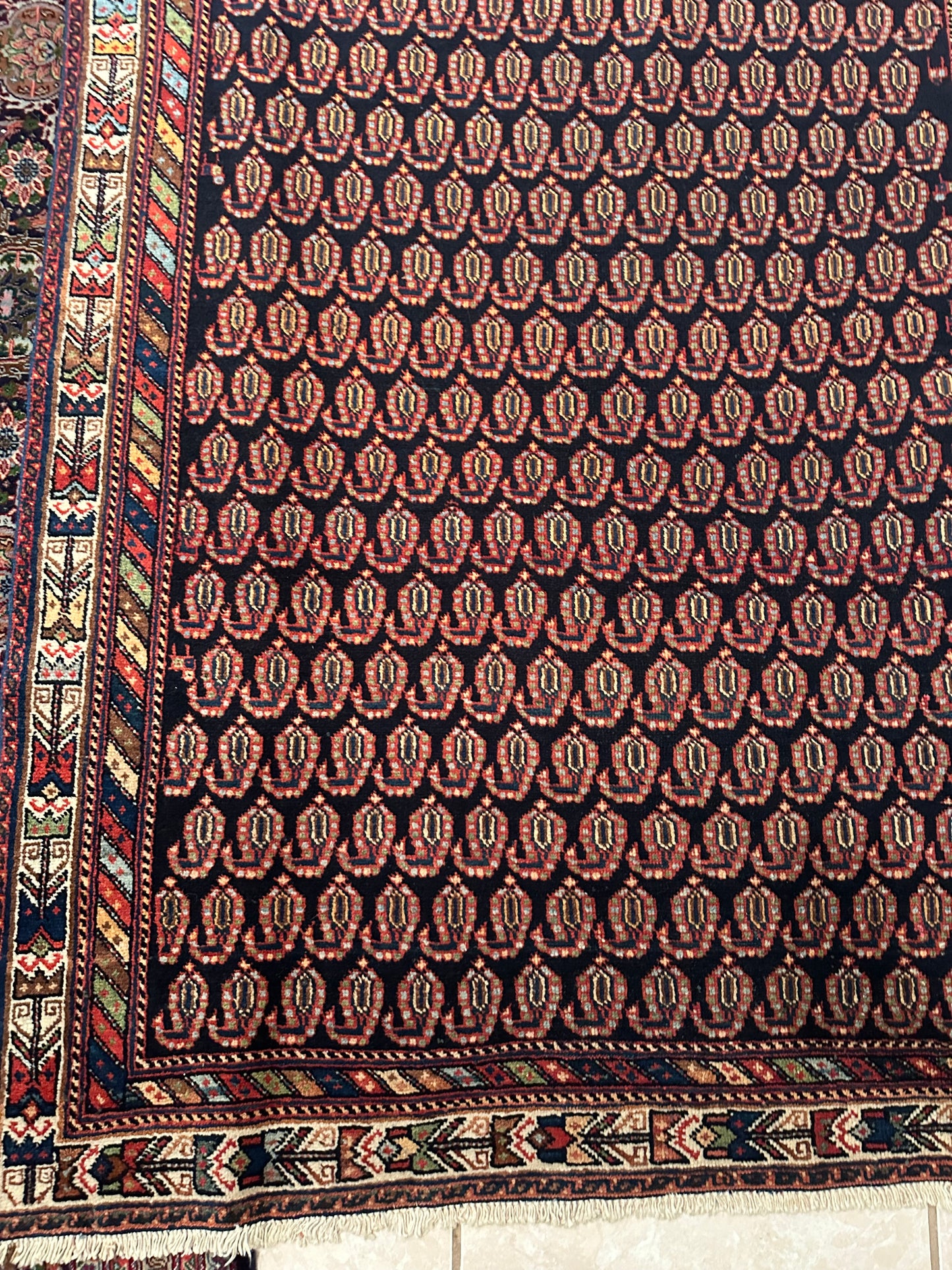 Persian Bakhtiari Kashmar Rug – Hand-Knotted 100% Wool Traditional Oriental Area Rug 5.9 x 4.0 ft
